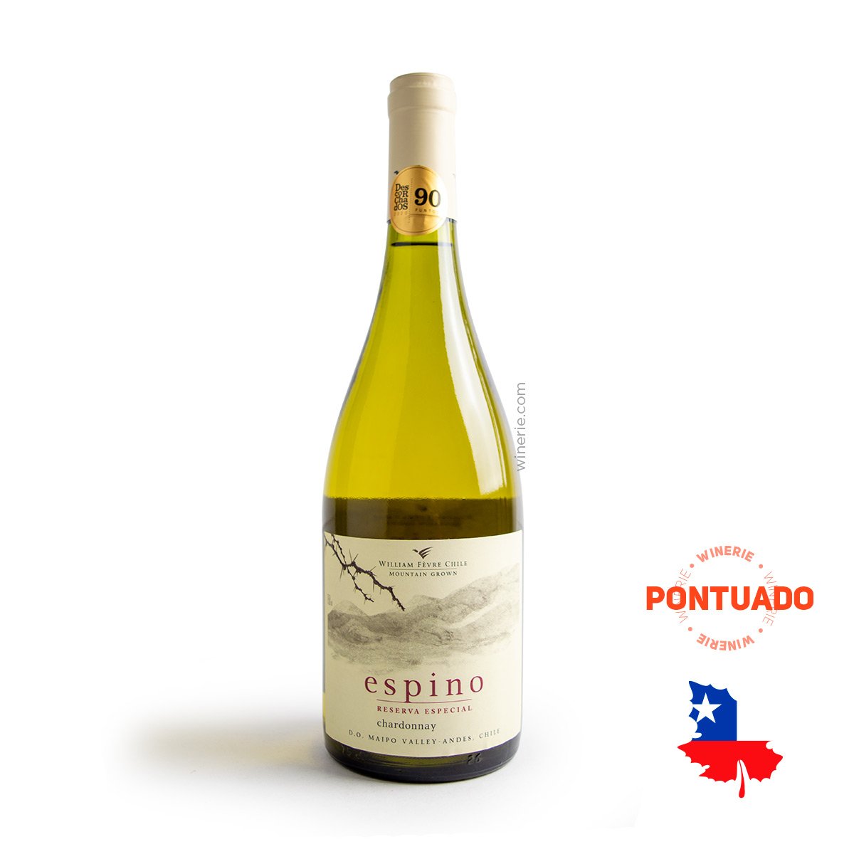 Vinho Chileno Espino Chardonnay D.O. 2019 750ml